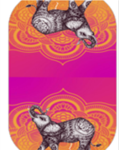 Drawn Donkey Jamberry - Jamberry (640x480), Png Download