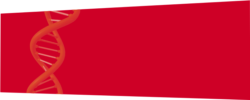 Shieldskin Chem™ Are Multi Layered Gloves Offering - Carmine (800x400), Png Download