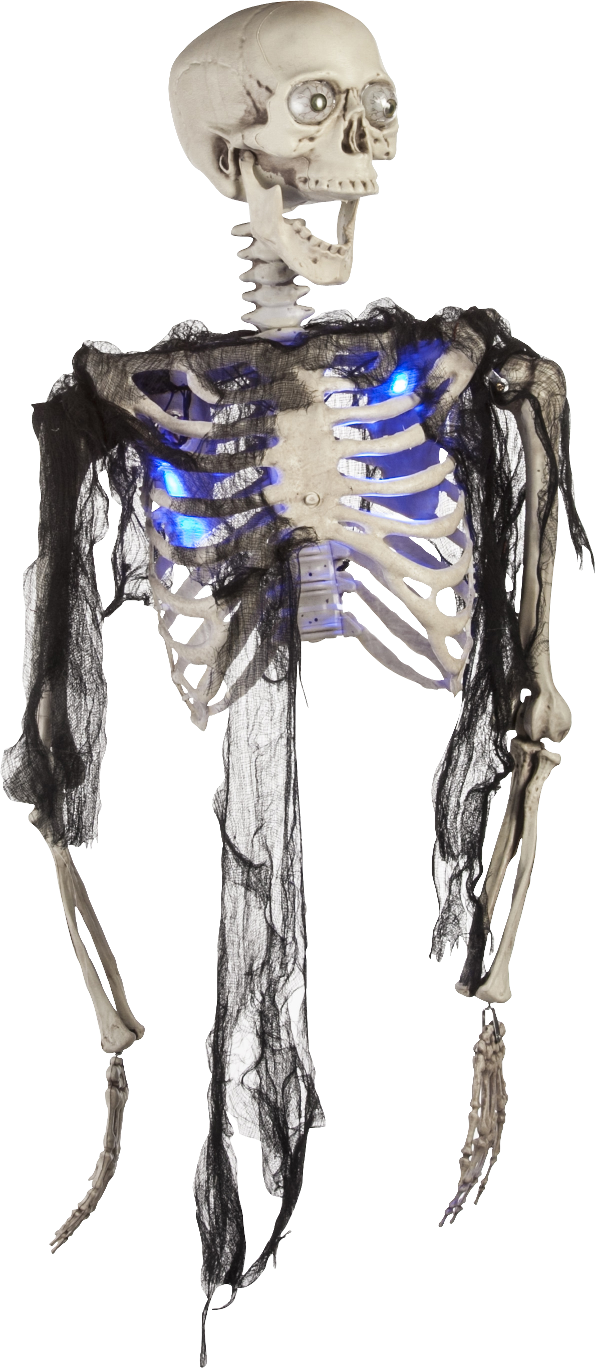 Headband Drawing Skeleton Picture Library Download - Light-up Led Zombie Torso - Decorations & Props (3000x4500), Png Download