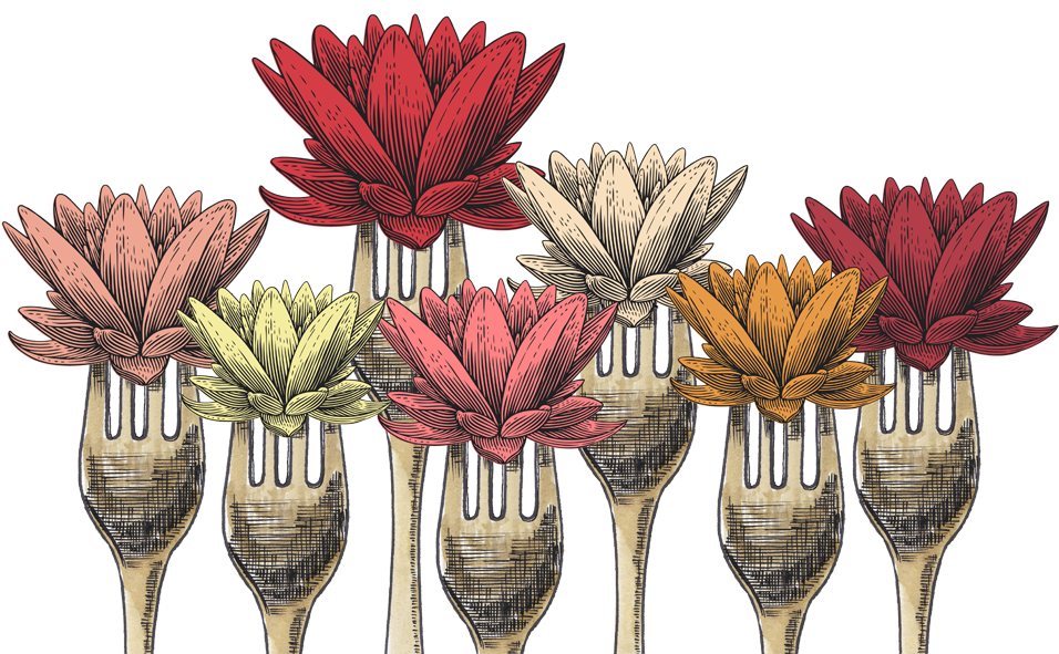 Thank You For A Great Edible Lotus - African Daisy (1000x762), Png Download