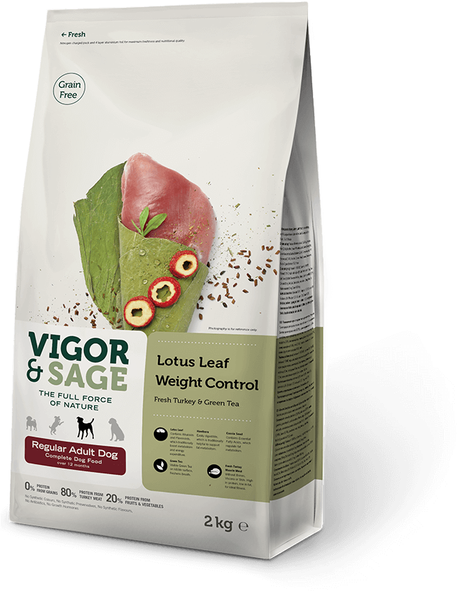 Vigor And Sage Ginseng Well-being - Vigor & Sage (800x838), Png Download