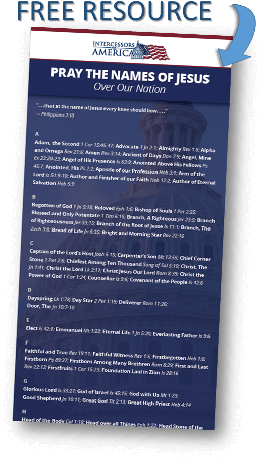 Banner (1016x997), Png Download