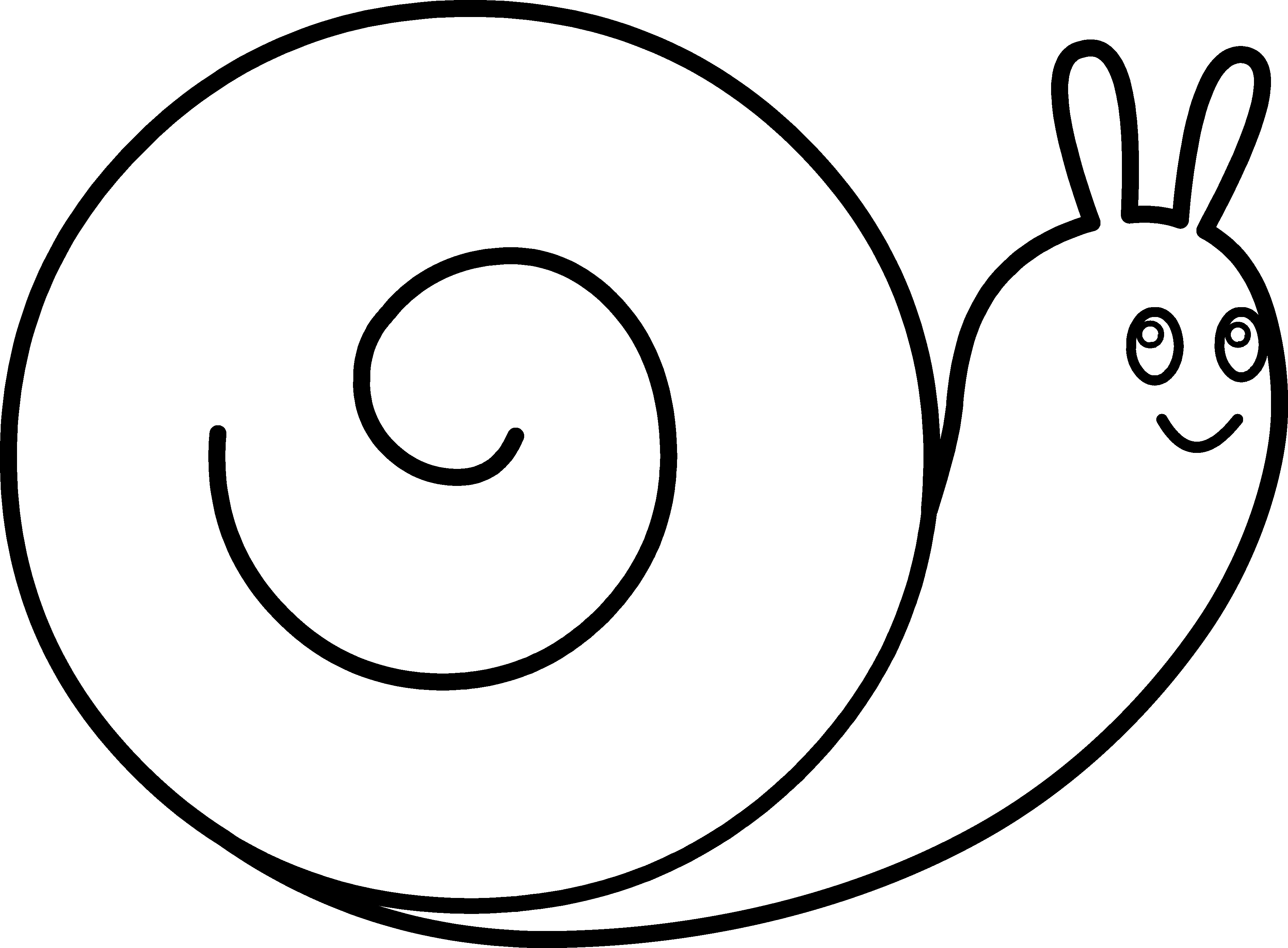 Mollusc Clipart Cookie - Insect (3784x2784), Png Download