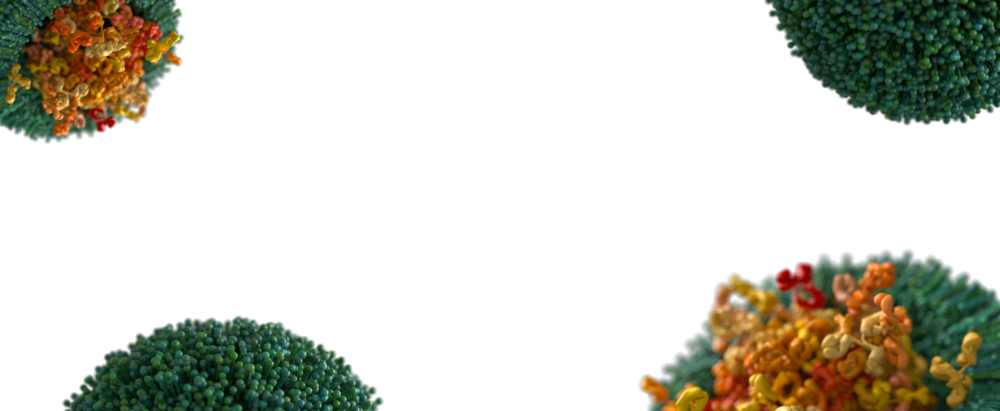 Header 2 - Evox Therapeutics Limited (1000x411), Png Download