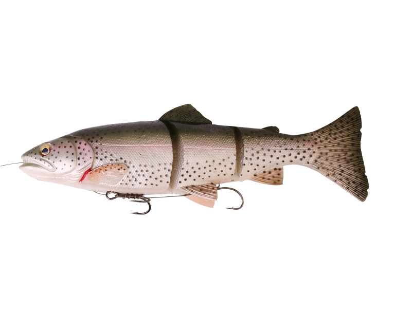 Sg 3d Line Thru Trout 30cm 303g Ms - Trout 3d Savage Gear (800x800), Png Download