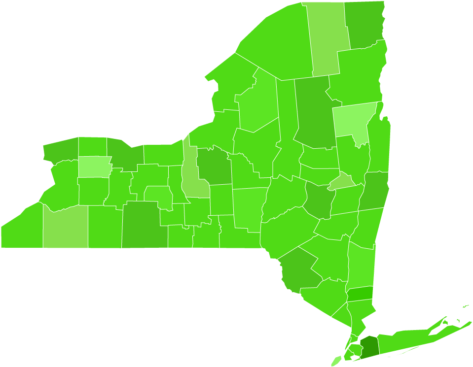 New York Remediation Services - Map Of New York State (1000x1000), Png Download