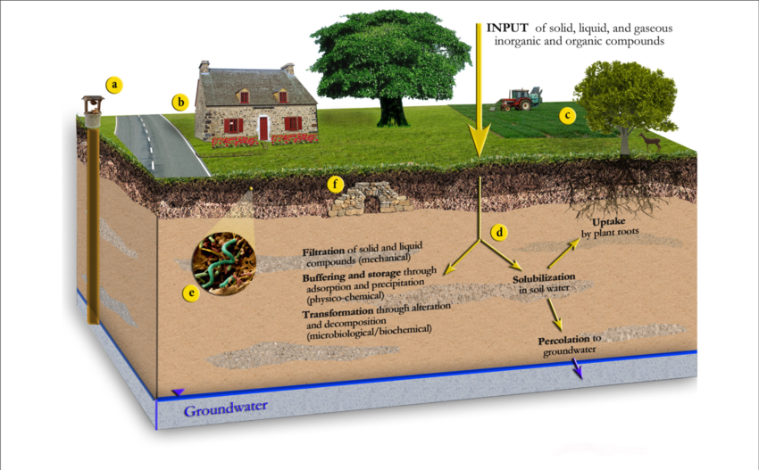 Schematic Illustration Of The Different Functions Of - Environmental Soil Science (850x527), Png Download