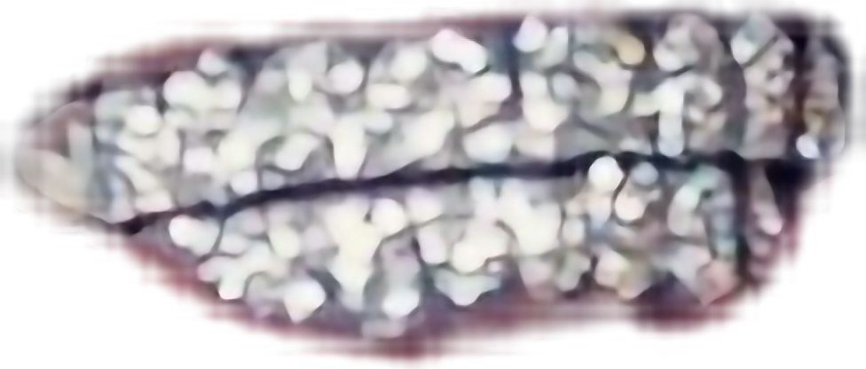 Report Abuse (976x416), Png Download