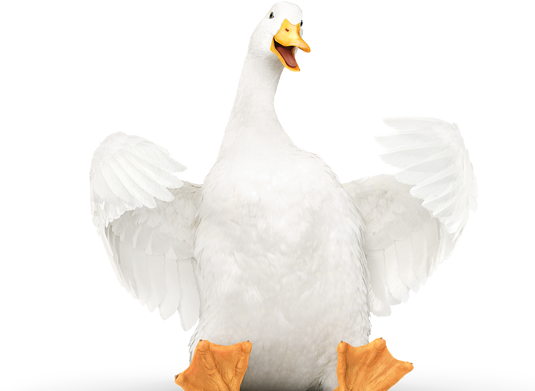 Brand (1361x818), Png Download