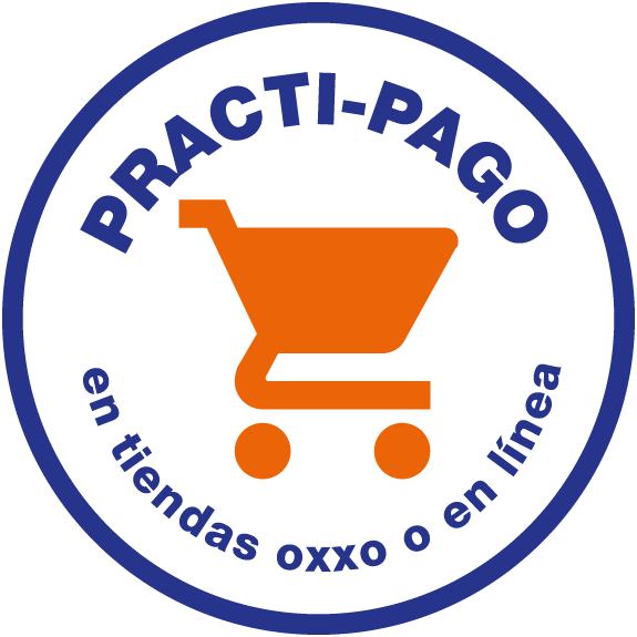 Compra Segura En Todas Las Compras Online - Shopping Cart (575x575), Png Download