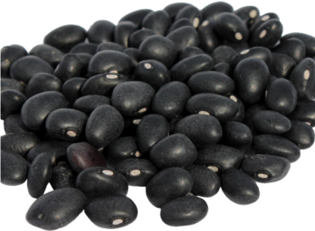 Velvet Bean In Urdu (640x480), Png Download