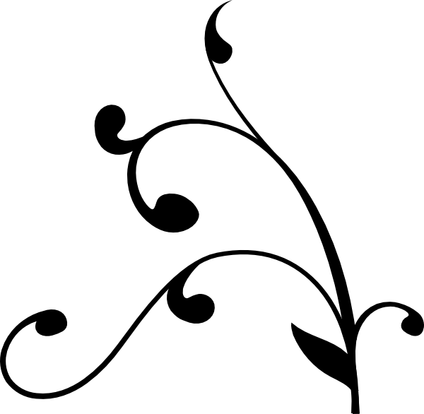Curly Transparent Background (600x586), Png Download