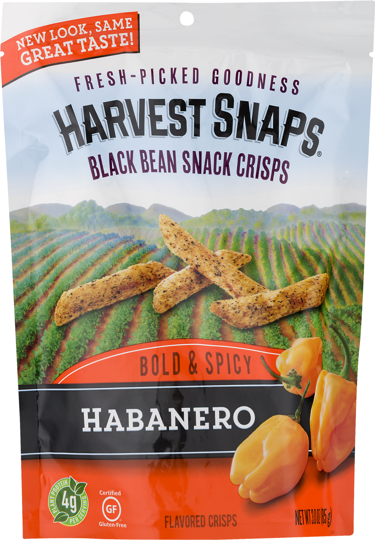 Black Bean Png (1800x1800), Png Download