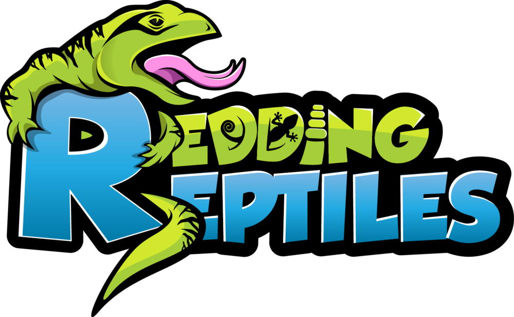 Reptile Eye Png (1000x617), Png Download