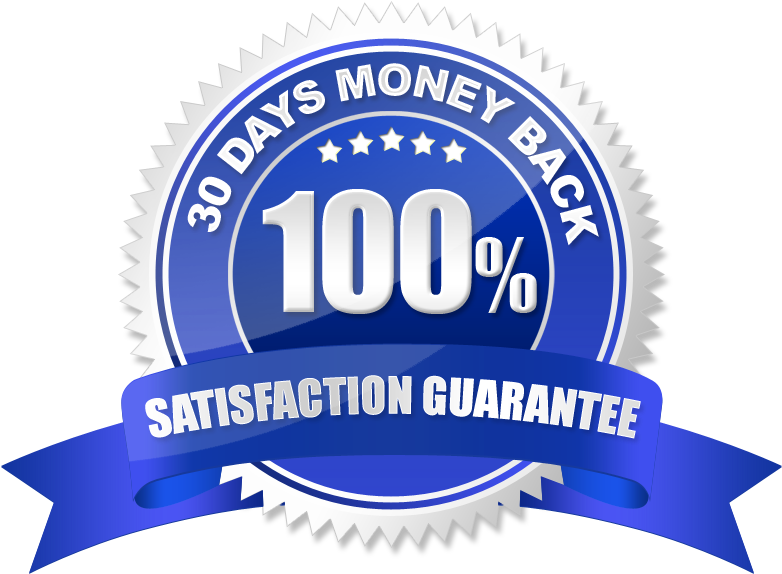 1st Anniversary Video Guarantee - 100 Job Assistance Logo (889x600), Png Download