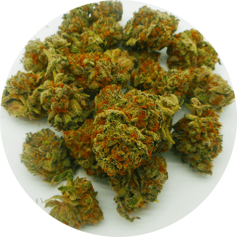 Great Weed North - Quad Of Weed (770x770), Png Download