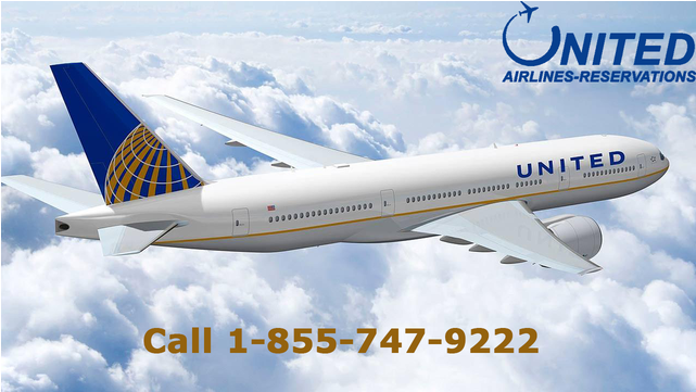 Experience The Nightlife Of Los Angeles With United - Kitdine Travel Bottles Set - Bpa Free Leak Proof Tsa (640x480), Png Download