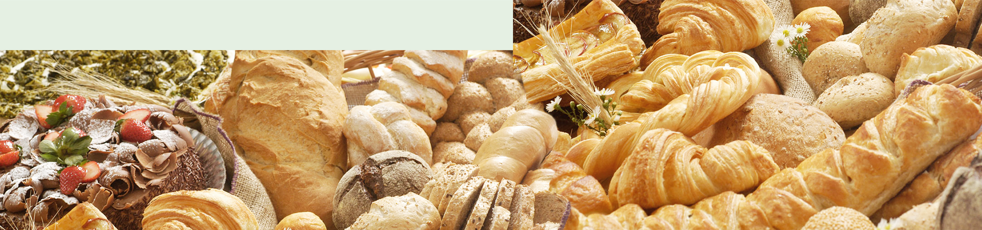 Paes - Bakery (1920x450), Png Download