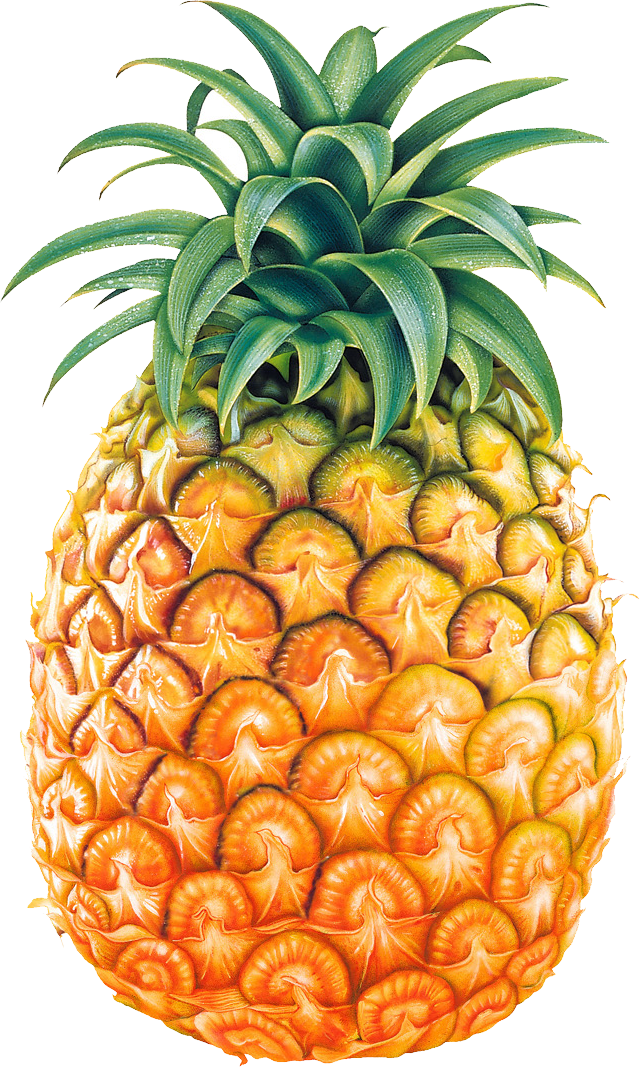 Pineapple Fruit Png Image - Pineapple Images Png (640x1067), Png Download