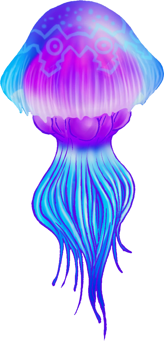 Jellyfish Png High-quality Image - Transparent Background Jellyfish Png (569x1180), Png Download