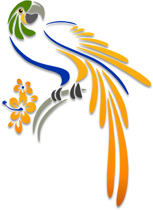 Image Stock Parrot Illustration My Illustrations Pinterest - Parrot Stencil (500x683), Png Download