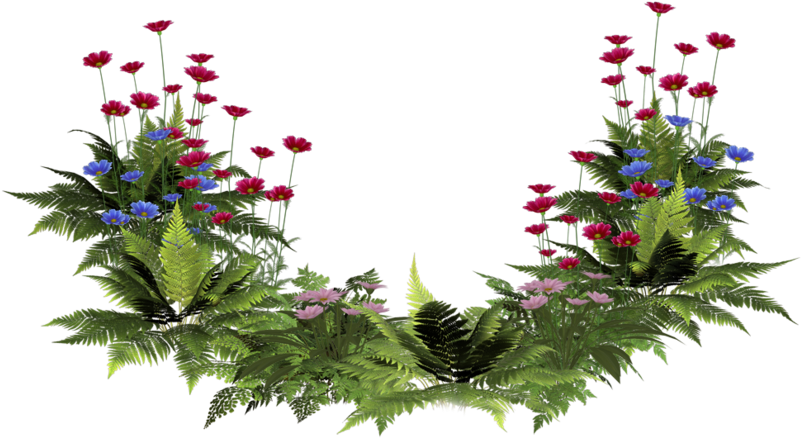 Images House Plants Png - Clip Art (900x717), Png Download