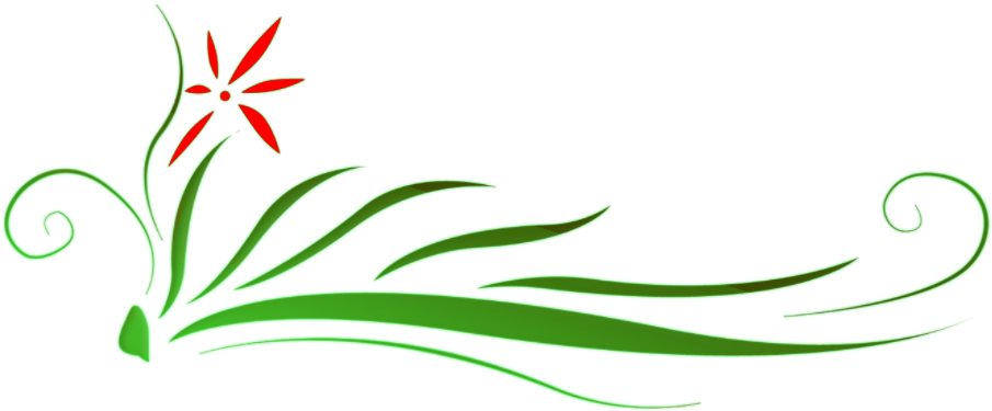 Floral Png Hd - แบค กราว สวย ๆ (1024x768), Png Download