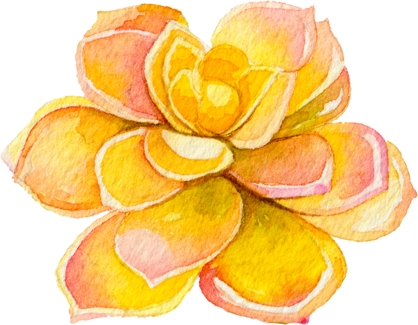 Natural Fertility Support For Any Diagnosis - Watercolor Painting (1461x1249), Png Download