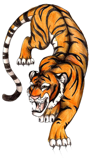 Tiger (320x529), Png Download