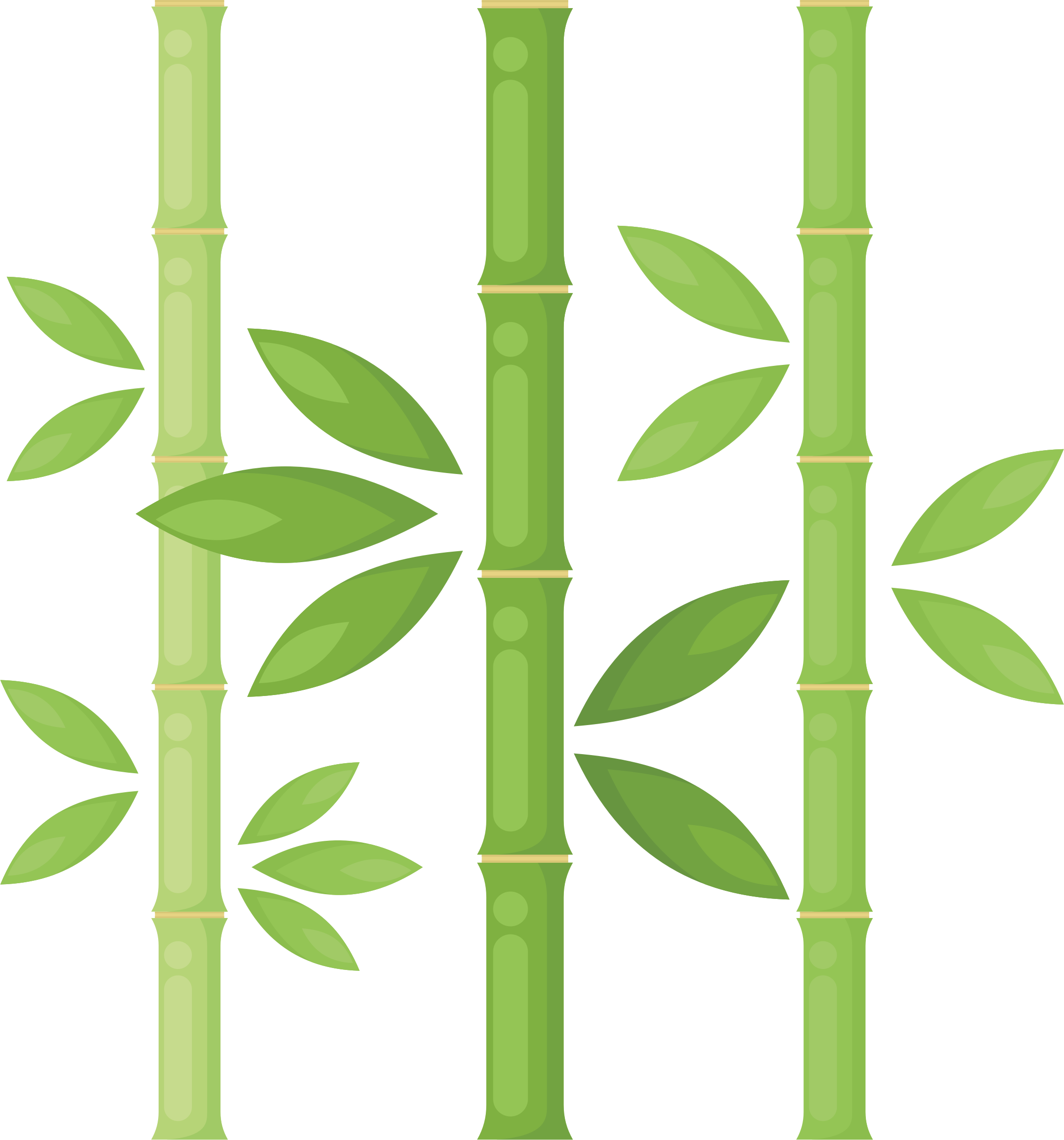 Bamboo Png Library Download - Bamboo Tree Png (2234x2393), Png Download