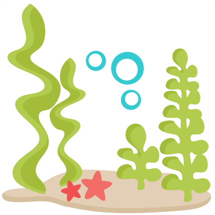 Underwater Coral Clipart - Underwater Clip Art Png (432x432), Png Download