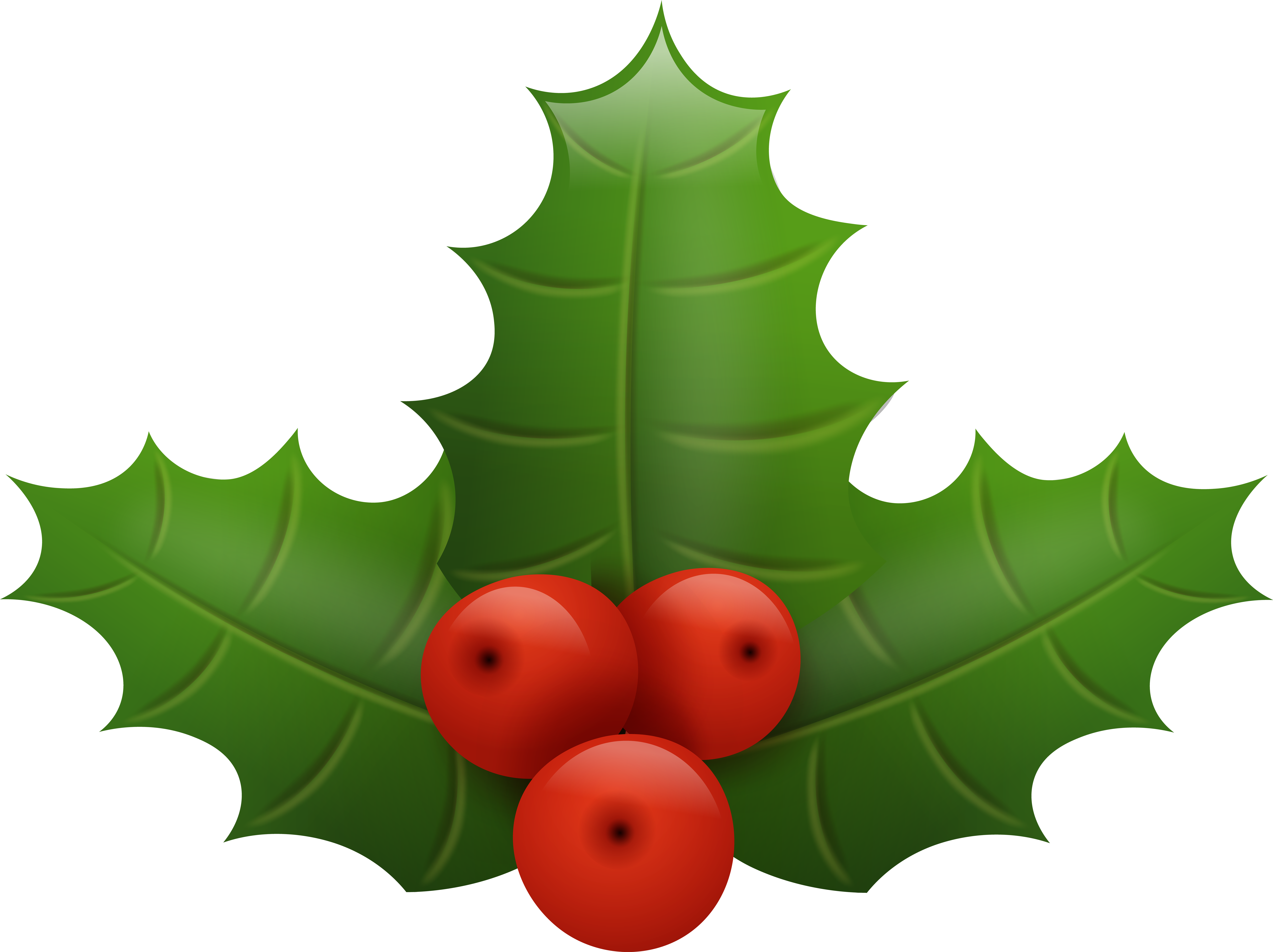 Holly Png (8000x5984), Png Download