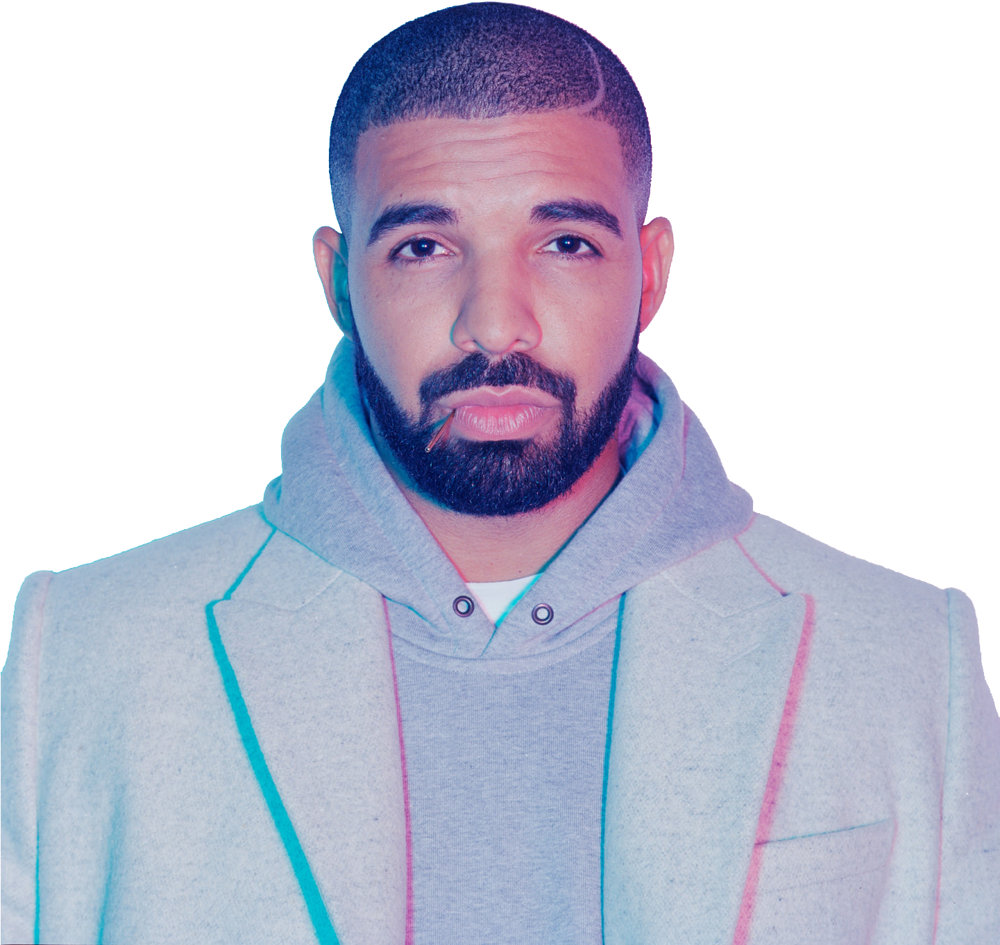 Download Drake Transparent Drake Png Full Size Png Image Pngkit