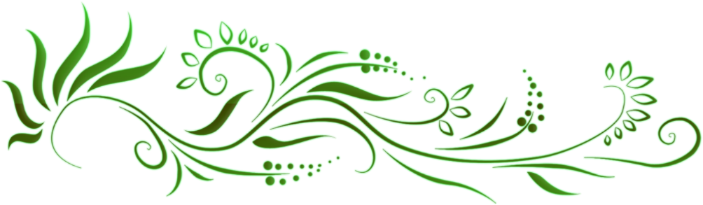 Floral Png Image Transparent - Floral Png (1024x768), Png Download