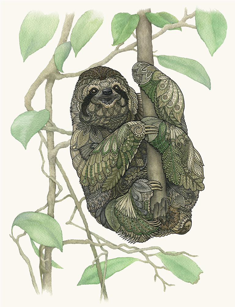 A Sloth, Just Hanging Out - Paper (1000x1000), Png Download