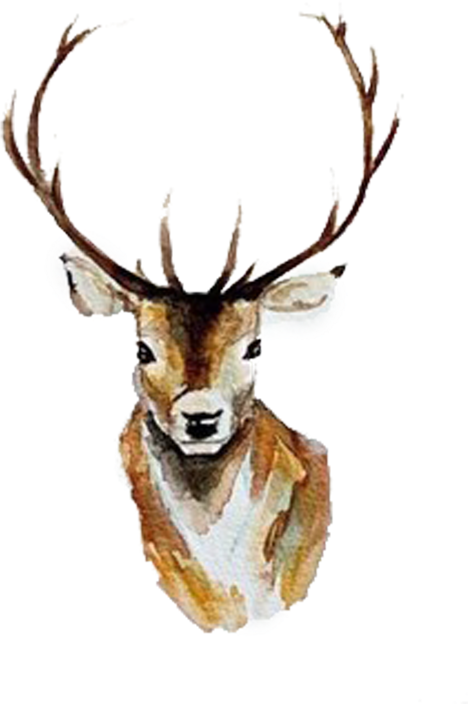 Watercolor Deer Antlers Png - Deer Watercolor (999x1499), Png Download