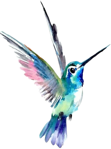 Report Abuse - Colibríes Dibujos Para Tatuajes (446x599), Png Download