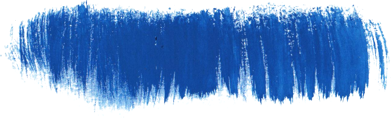 Free Download - Spruce-fir Forest (1277x391), Png Download