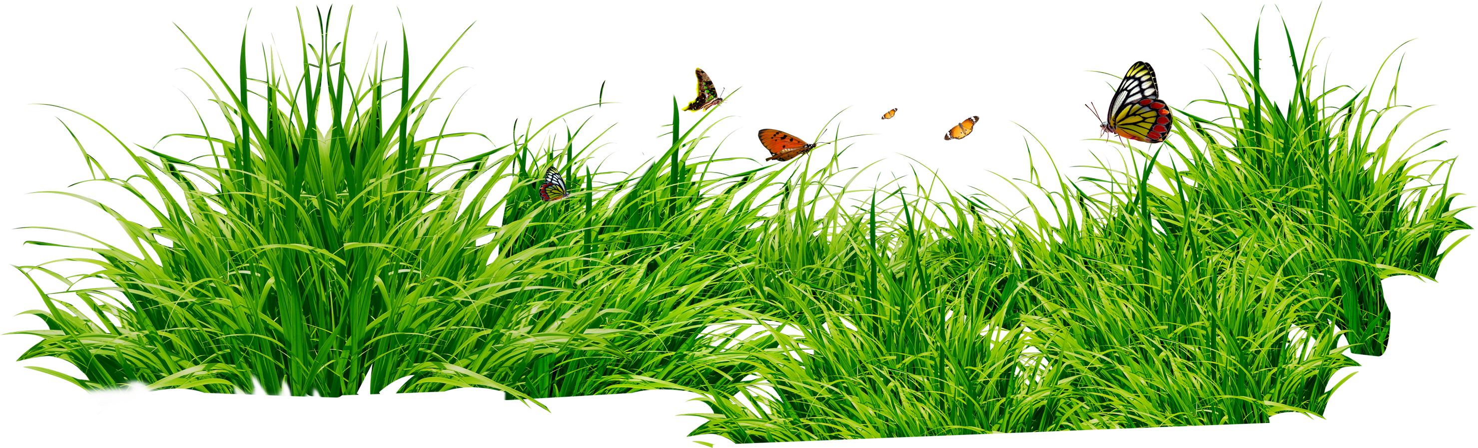 Grass Png Image, Green Grass Png Picture - Grass Png (2958x898), Png Download