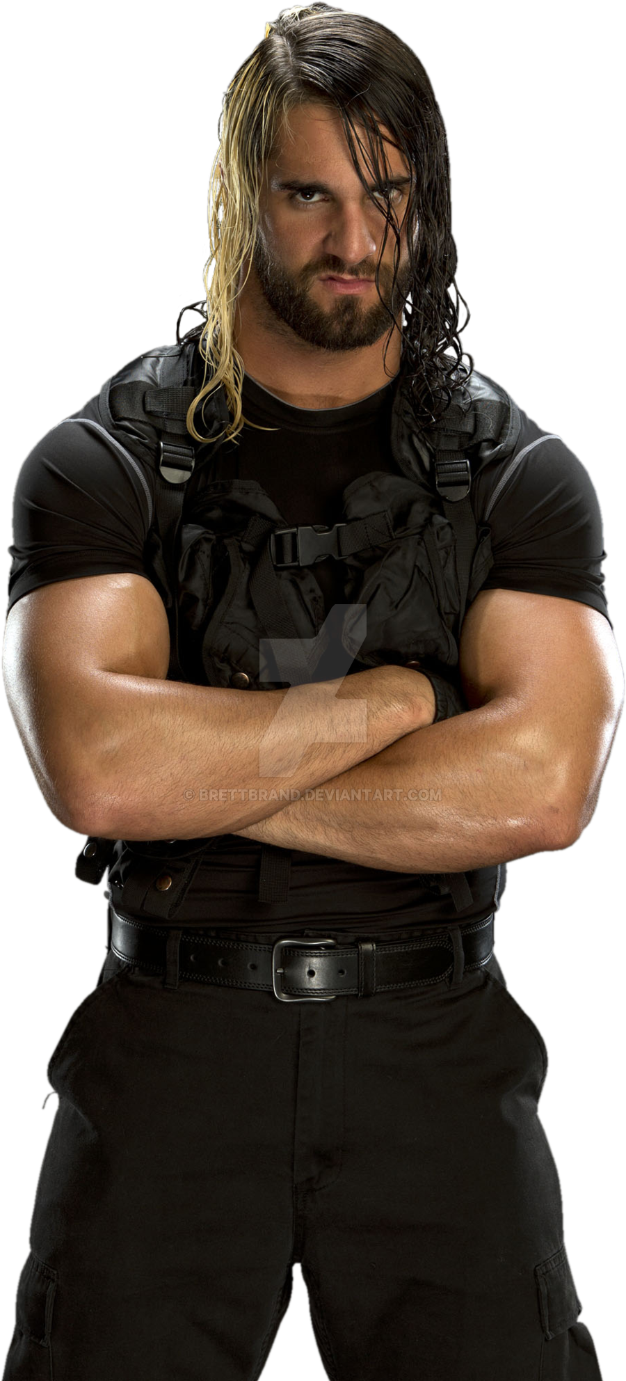 Seth Rollins Free Png Image - Seth Rollins Shield Png (900x1984), Png Download