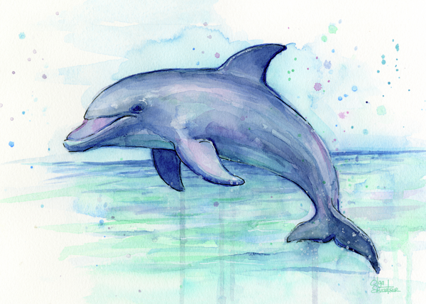 Dolphin Watercolor Onesie For Sale By Olga Shvartsur - Dolphin Art (600x428), Png Download