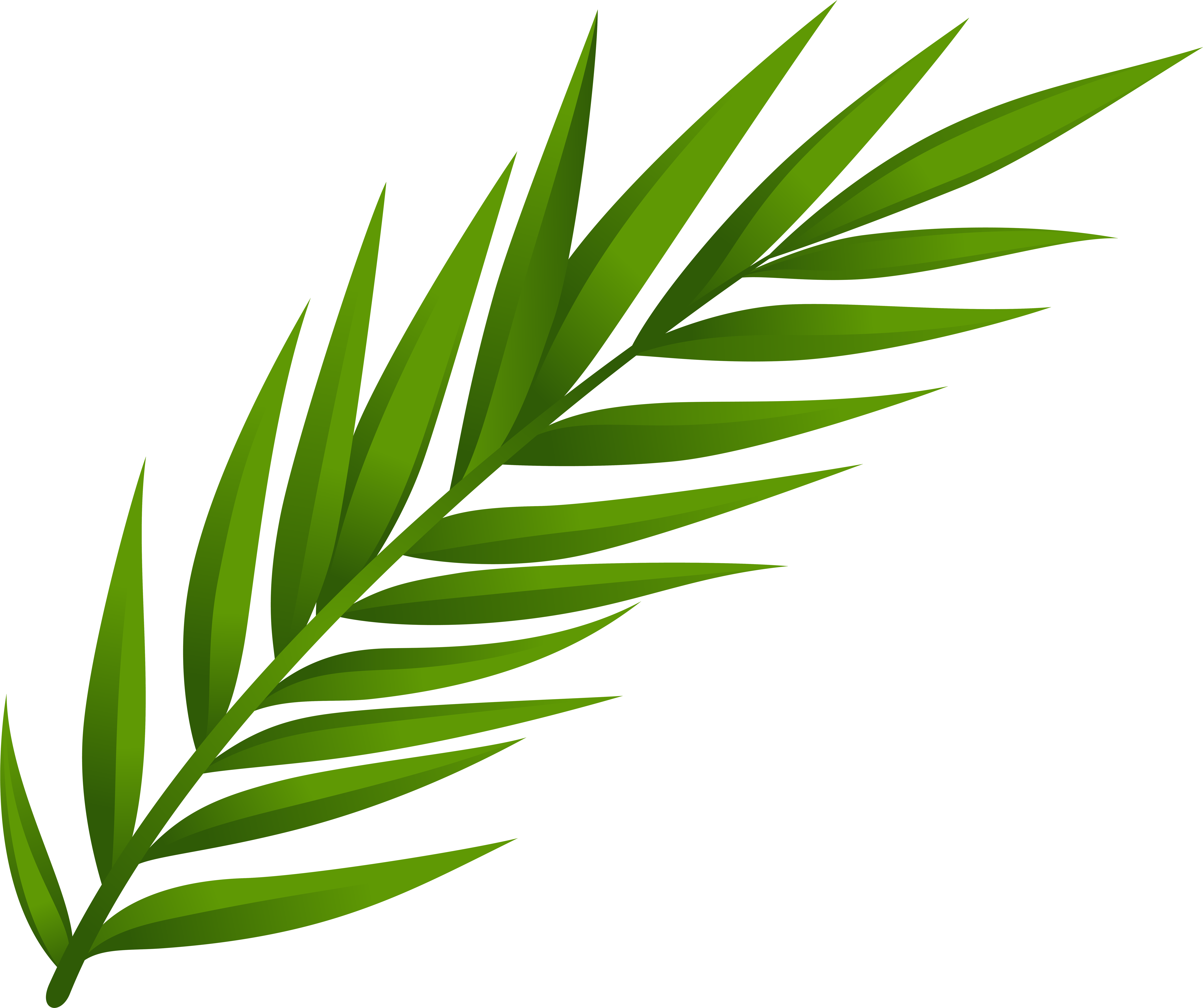 Leaf Png Clip Art (8000x6702), Png Download