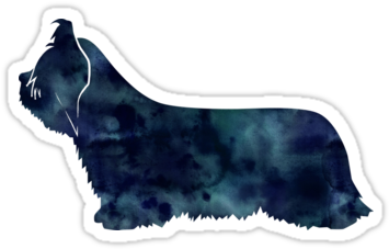 Skye Terrier Dog Black Watercolor Silhouette - Skye Terrier-schwarzeswatercolor-silhouette Grußkarte (375x360), Png Download