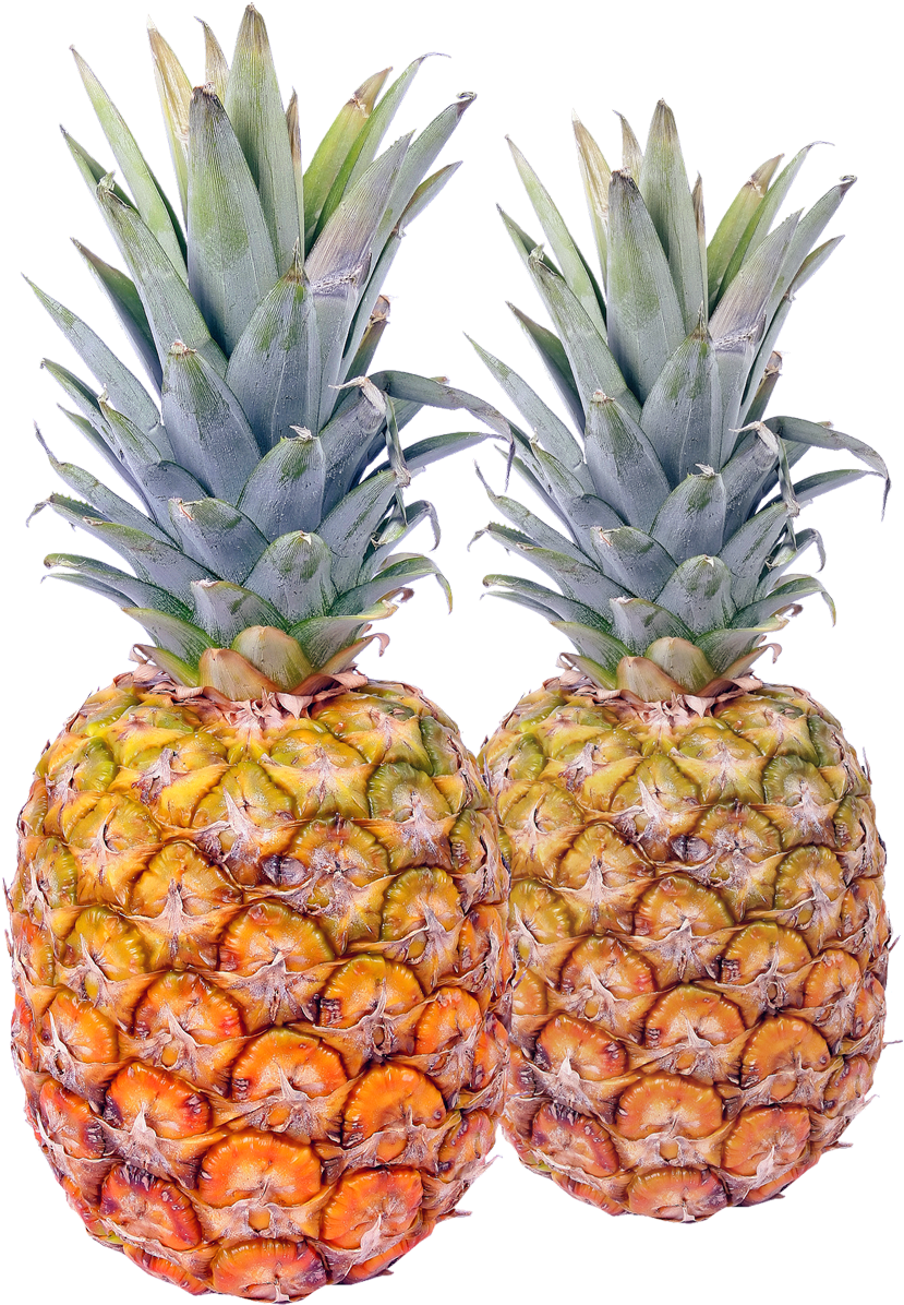Pineapple Png Transparent Image - Pineapple Png (500x630), Png Download