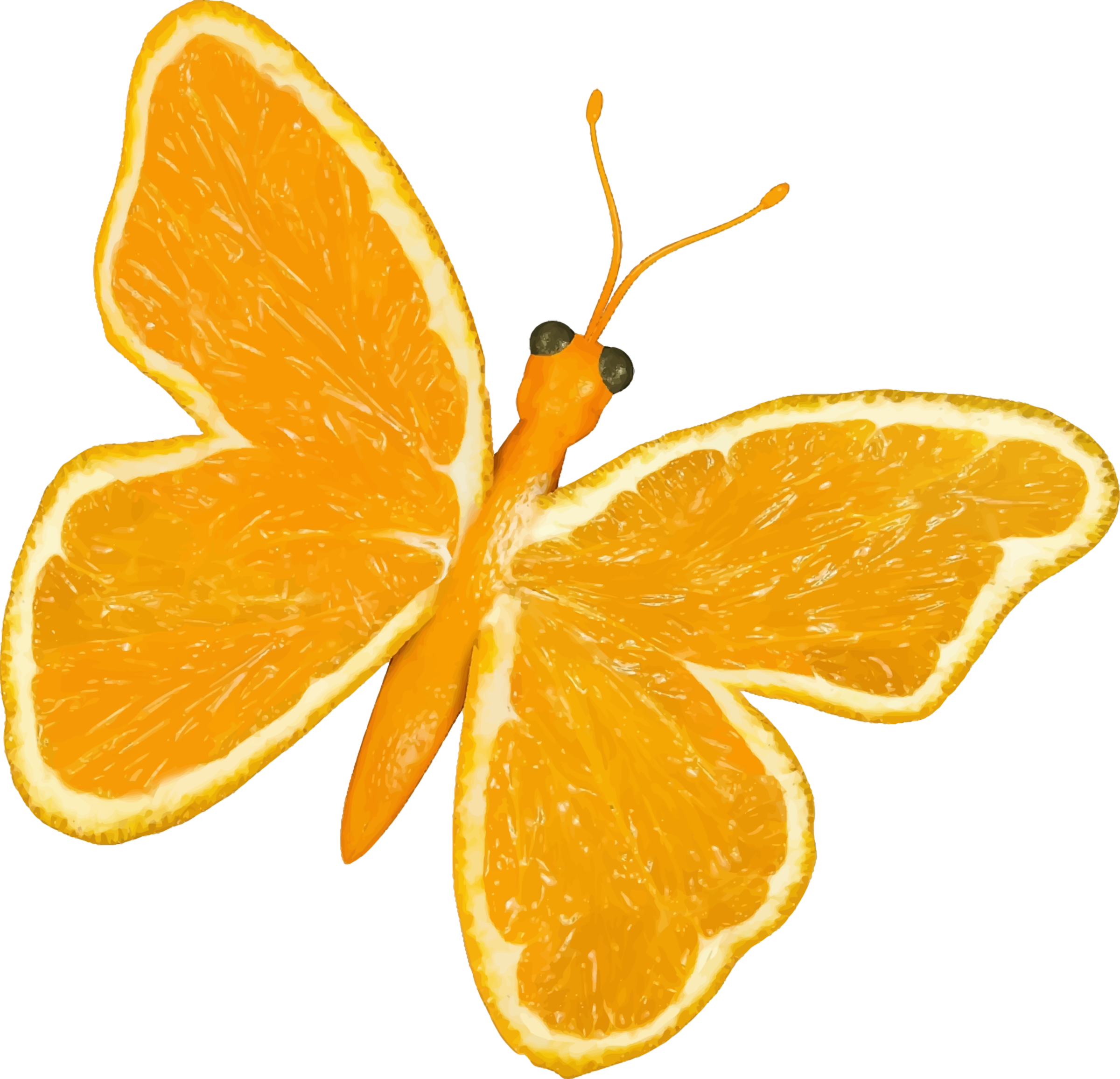This Free Icons Png Design Of Citrus Fruit Butterfly (2400x2312), Png Download