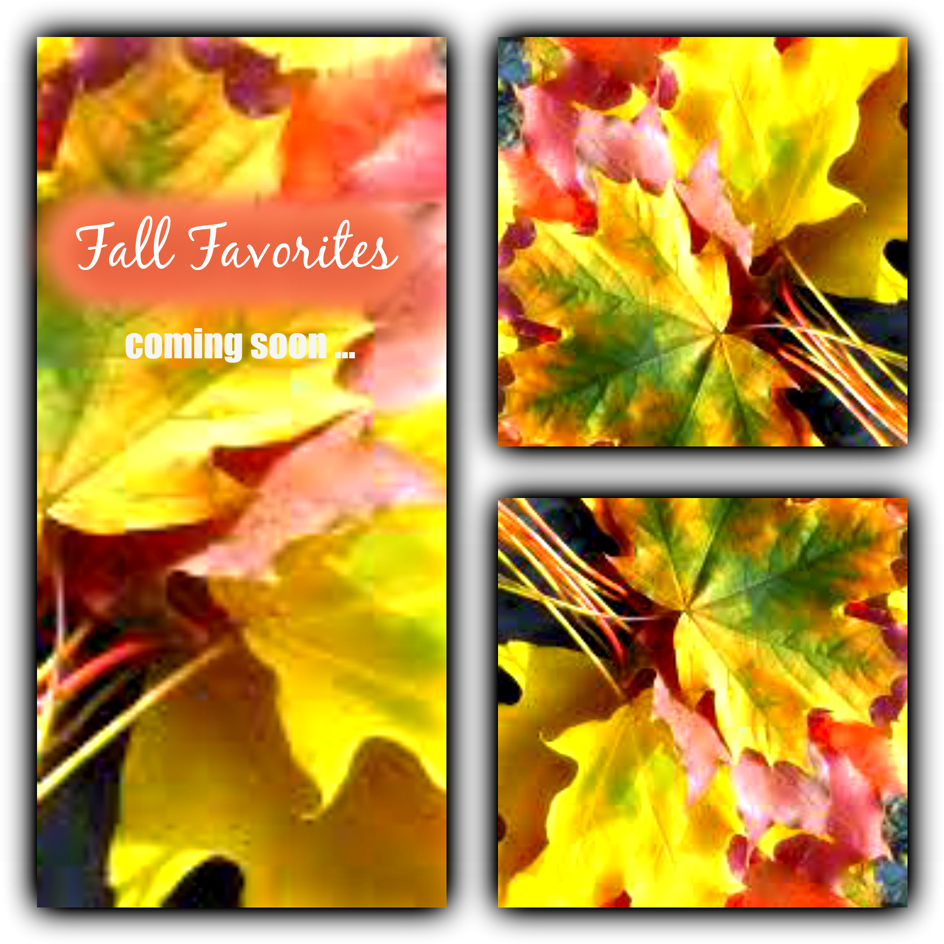 Fallfavorites - Fall Leaves (2000x2000), Png Download