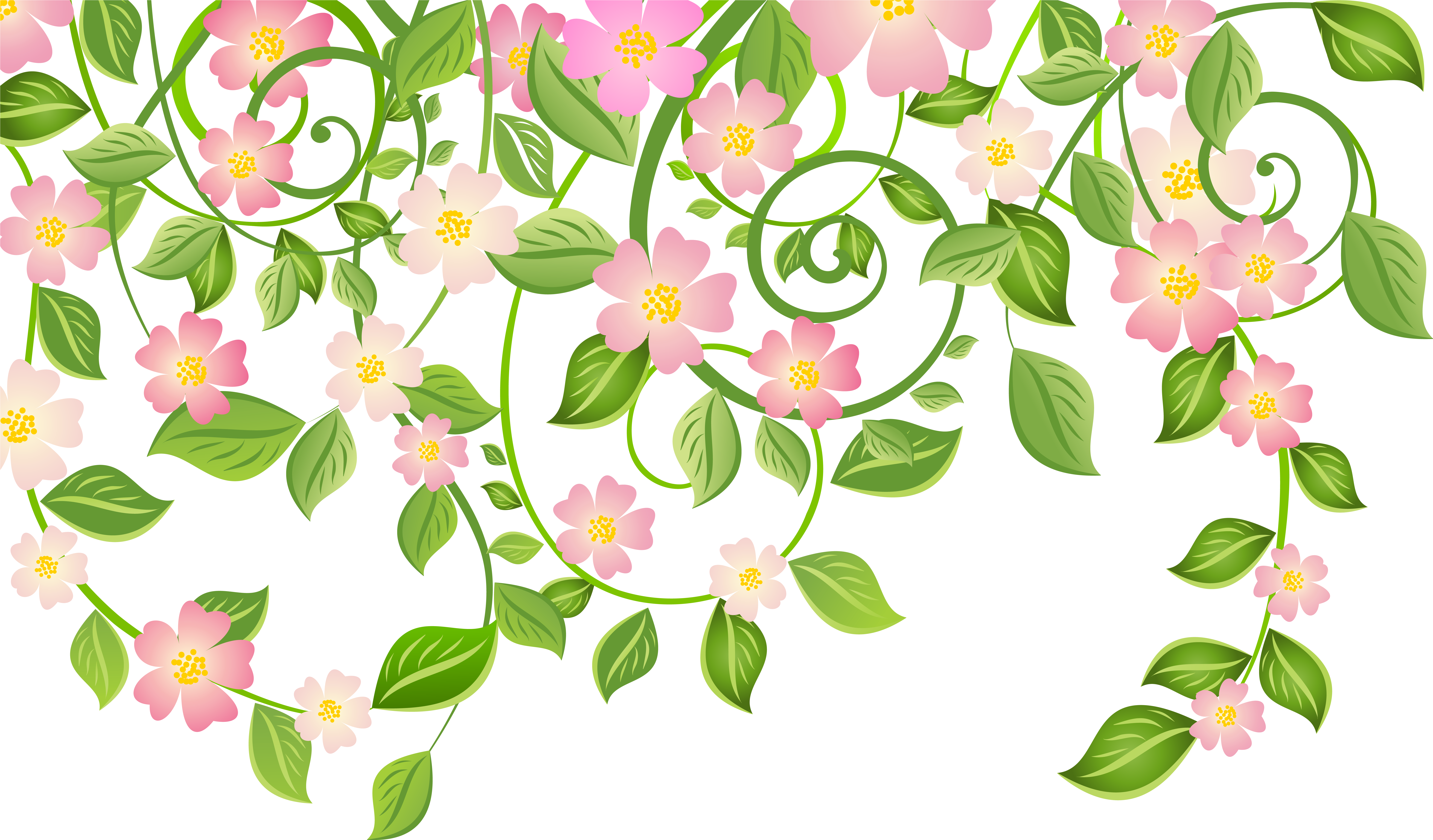Spring Blossom Decoration With Leaves Transparent Png - Spring Leaves Transparent Background (8123x4873), Png Download