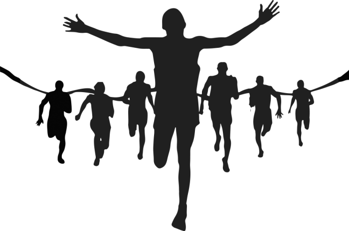 The - Winner Silhouette Png Transparent (700x464), Png Download