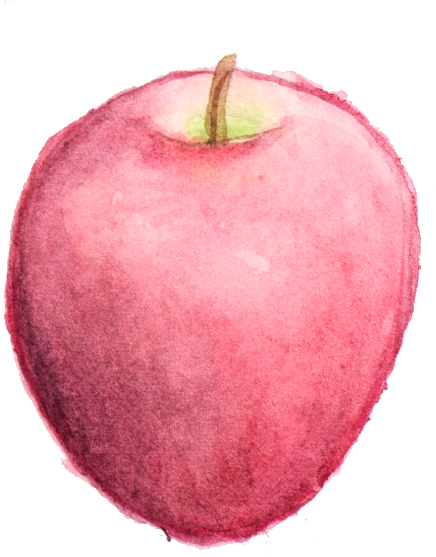 Fall's Feature Produce (988x1164), Png Download