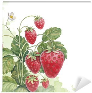 Les Trésors De Lily [m6793] Grand Plateau Fraisiers (400x400), Png Download